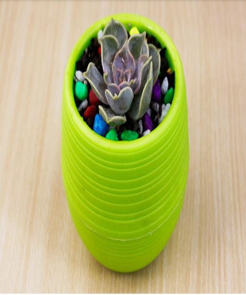 2017 Nuovi pentole di piantatrice di piatti di plastica riciclati perfetti per succulenti forti reusibili a base di erbe floreali POT8365435