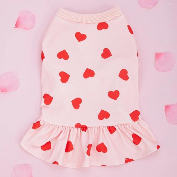 Abbigliamento per cani vestito maglione vestiti di San Valentino da giorno in stile casual stile comodo pattern rosa per le vacanze ragazza tulle gonna