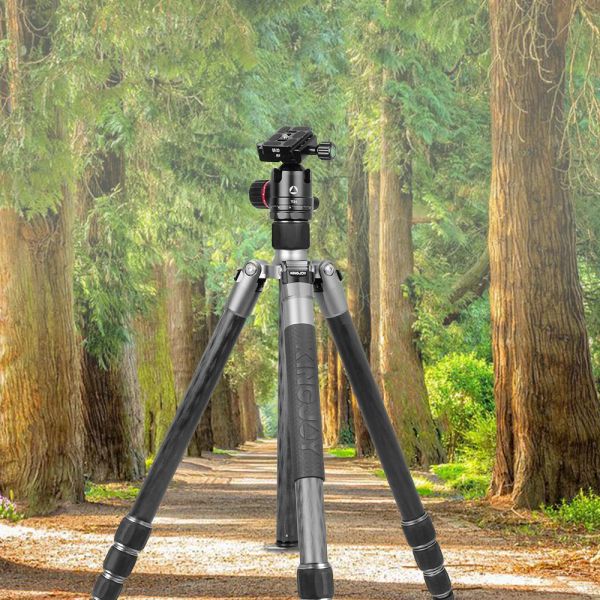Monopods A83+T21 SLR Kamera iç içe karbon fiber tripod sabit kamera tripod çıkarılabilir tek ayak panoramik ölçek