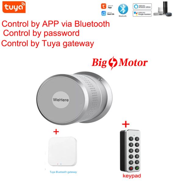 Kilit M501 TUYA Akıllı Kilit Silindir Parmak İzi Bluetooth Kapı Kilit Büyük Motor SmartLife Wifi Kapı Kilit M500 Yükseltme Versiyonu