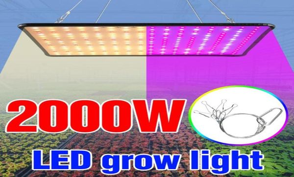 Pianta coltivazione luce 2000w fiore filo pannello di crescita lampada LID LED Full Spectrum Seedling Fito US US UK Plug Veg 240 Lights2604565