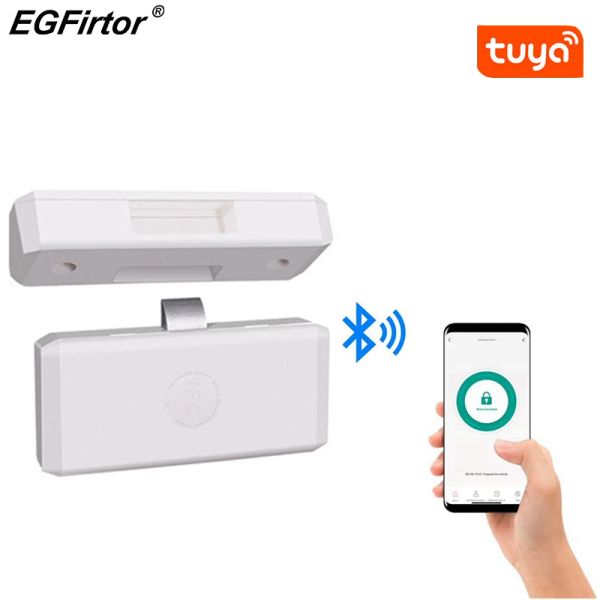 Заблокировать приложение Egfirtor Tuya Smart Bluetooth ящик NFC Lock Block Block Invisible без отверстия