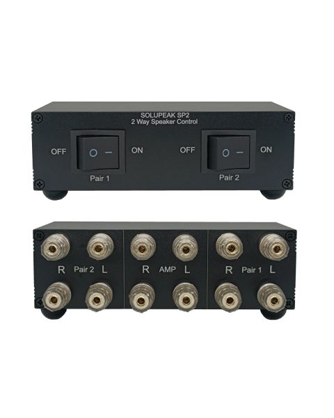 Amplificatore a 2 vie stereo Switcher Switcher a 2 zone Distribuzione selettore per altoparlanti per amplificatore ad alta potenza multicanale Switch B SP2