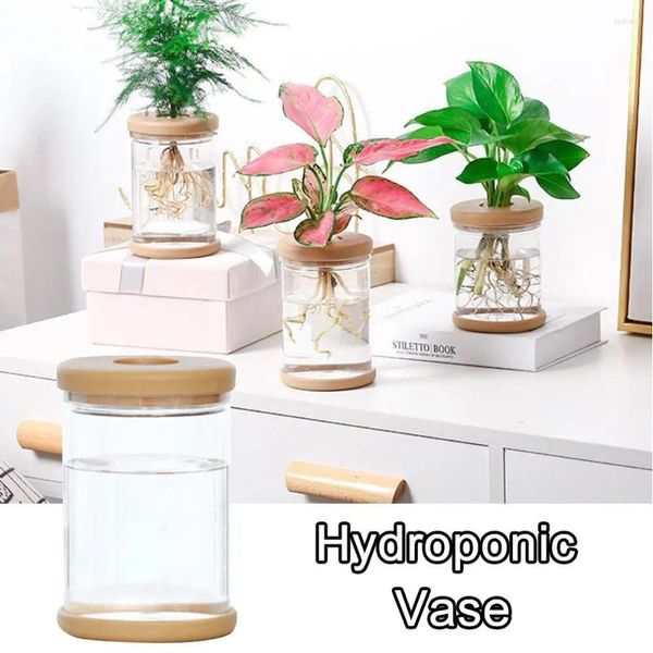 Вазы гидропонный растение пластиковая ваза самопоглощающая водяная горшка офисная столешница фэн-шуй