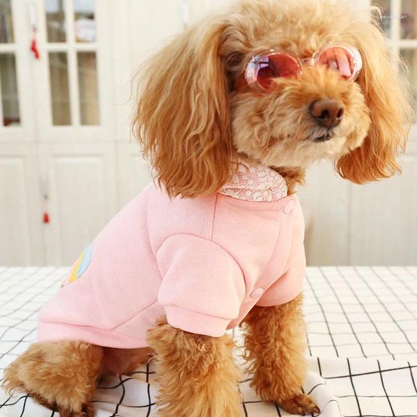 Vestuário para cães roupas de primavera de lã de duas pernas decoradas com chapéu de renda rosa bordado sorvete de sorvete de ursinho de ursinho do cachorrinho do cachorrinho