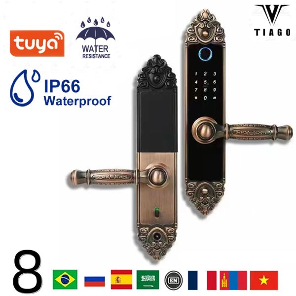 Blocca di fascia alta in stile europeo Tuya WiFi Electronic Smart Door Lock / Biometric Fingerprint / Smart Card Password Tasto sblocco USB Charge