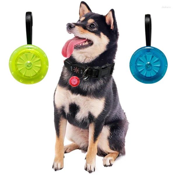 Collare a led per cani collare gatto luminoso di sicurezza ciondolo luminoso night lumin