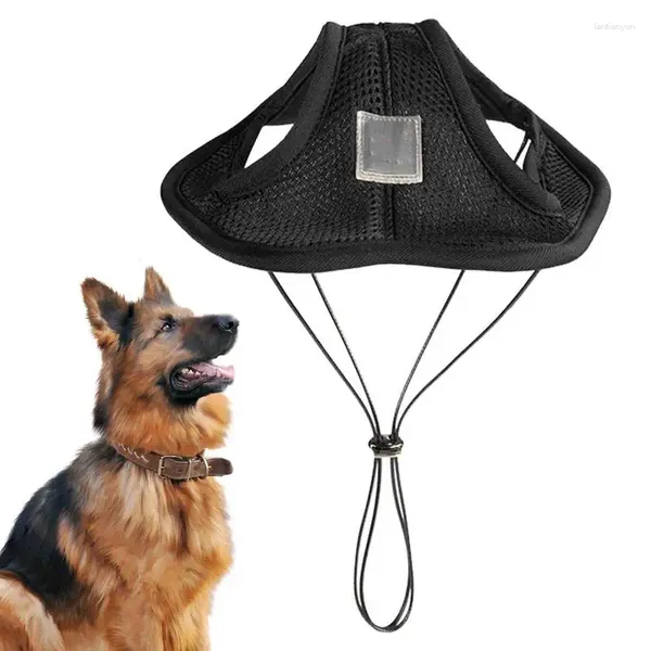 Chapéu de sol para cães para cães Round Brim Brimche Protection viseira pequena média de verão grande