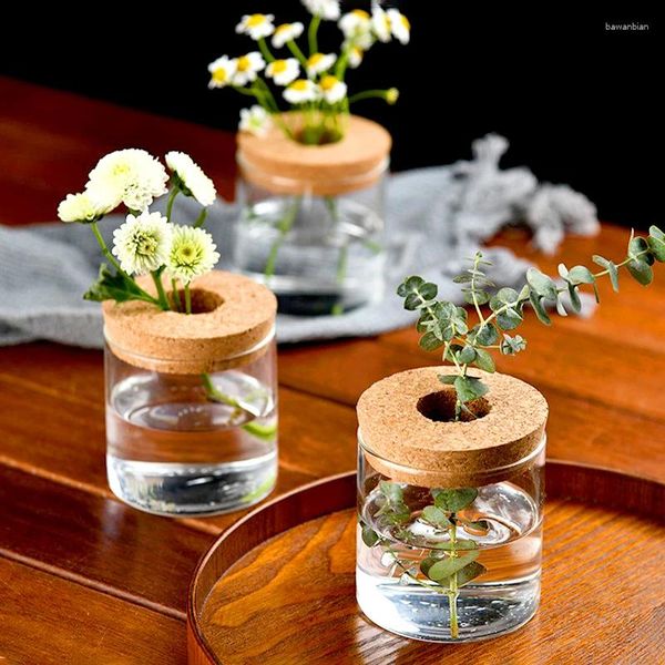 Vasi Vasi di vetro rotondo creativo per piante idroponiche multifunzionali piccoli fiori di rose micro paesaggio ecologico