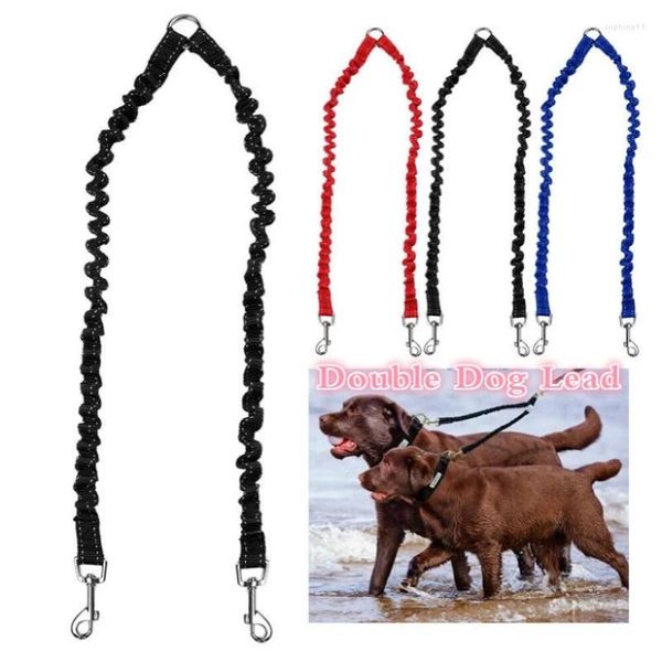 Collari per cani LM Double Accoppiatore Twin Lead 2 Way per due cani da compagnia che cammina il collare della catena di sicurezza al guinzaglio