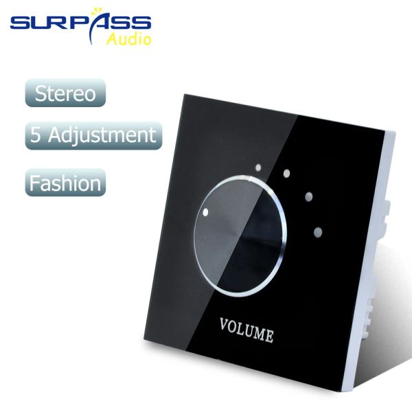 Amplificatore Acrificatore di accordatura stereo Acrilico Controllo di regolazione 5 Volume di regolazione su 2 canali Controller musicale a resistenza fissa per altoparlanti Amplificatore Home DECO