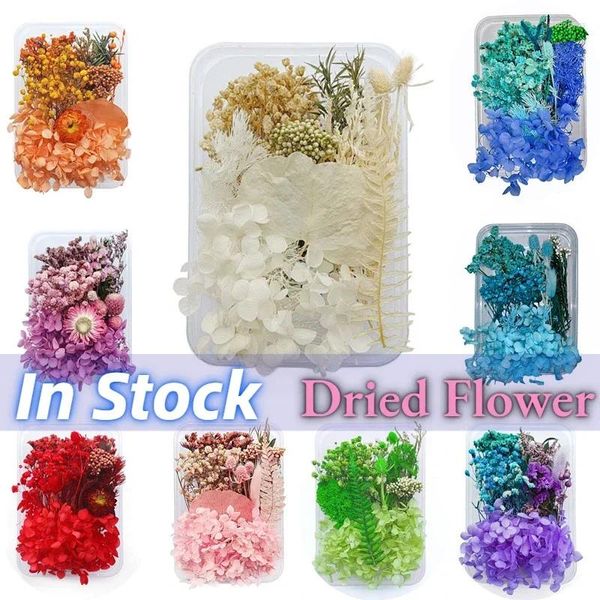 Flores decorativas Pétalas de flores secas naturais para Diy Fazendo capa de celular vela artesanato artesanal de resina epóxi jóias de colar de pingentes