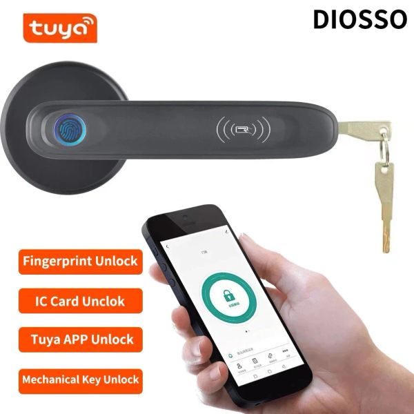 Lock Intelligent Lock Door Electronic Fingerabdruck Tuya Automatisch Deabolt IC Karten -Tor biometrische wasserdichte drahtlose Antitheft