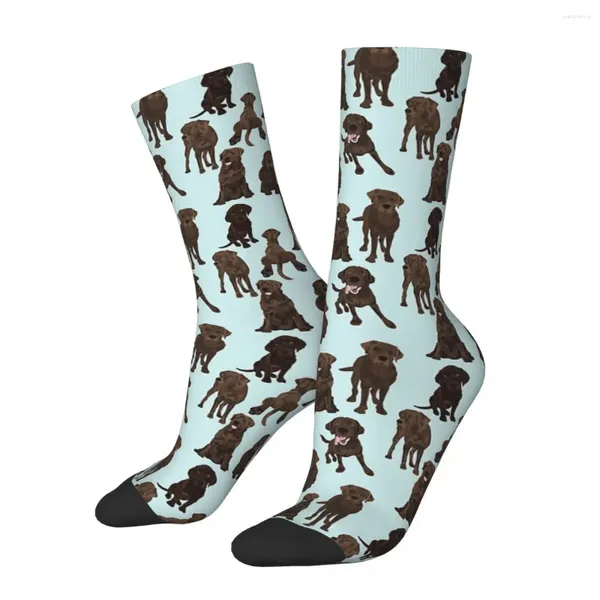 Мужские носки All Seasons Crew Stockings Chocolate Lab Dog Dog Harajuku Crazy Hip Hop Long Accessories для мужчин Женский день рождения подарок