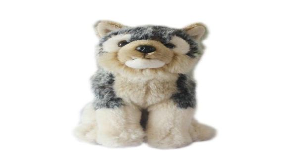 Grey Wolf Askar Plush Toys Simulação Simulação Lula Brinquedos de pelúcia