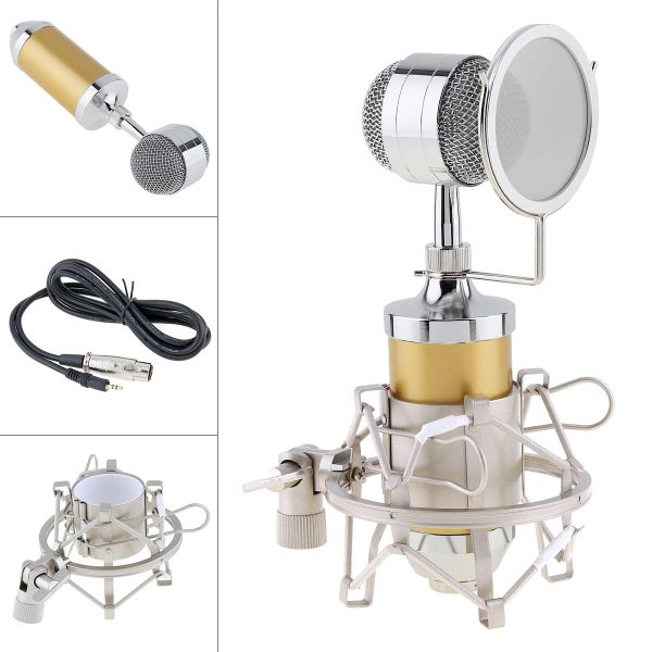 Microfones Professiona Sound Studio Recording Condenser Microfone Plug Stand Stand Goldplated Large Large Diafragma Cabeça Recordagem de Áudio/KTV