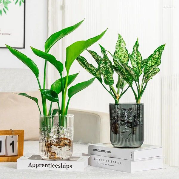 Vasen nordische Plastik Vase Home Blumenarrangement transparente Flasche moderne minimalistische Hydroponische Desktop -Origination