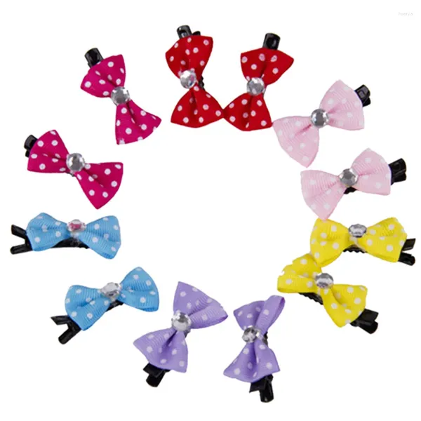 Abbigliamento per cani 10pcs Pieto Cat Dot Grooming Hairpin Mescod Ribbon Capellini gomma