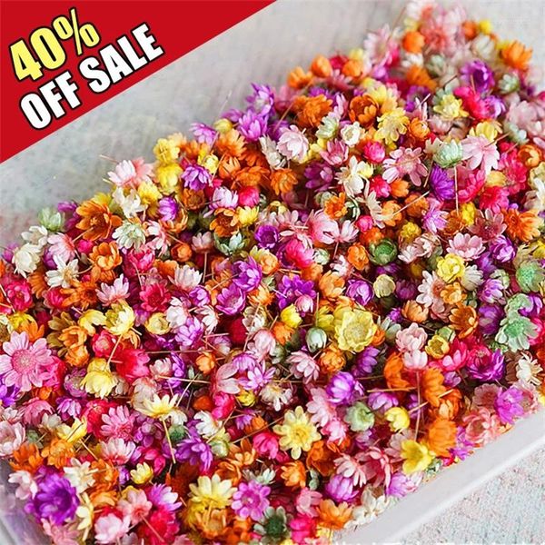 Fiori decorativi 140pcs/sacchetto secchi mini candela artigianale per arte fai -da -te rendendo in rilievo per la festa di corte decorati