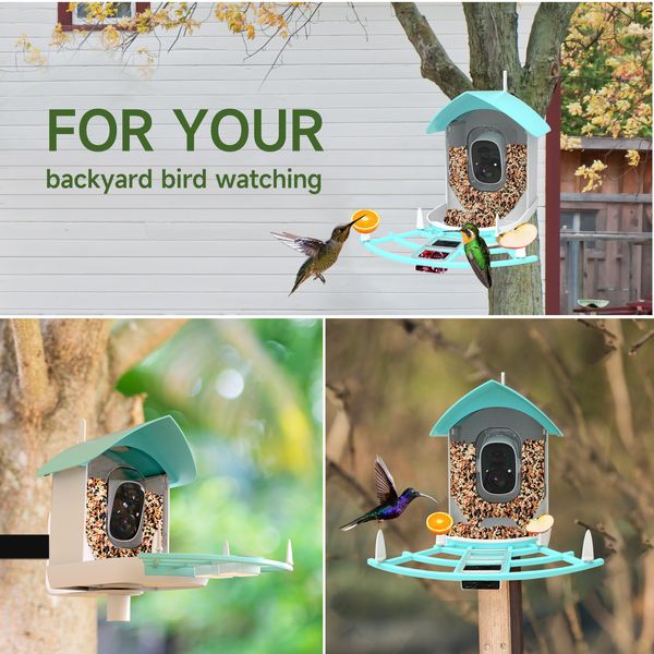Designer Yuexuan Smart Bird Eighder Solar con 1080HD Night Vision Camera di riconoscimento AI Bird Specie di alimentazione automatica Collegamento automatico Cattura automatica AUTTURA 5000MAH Bird Supply