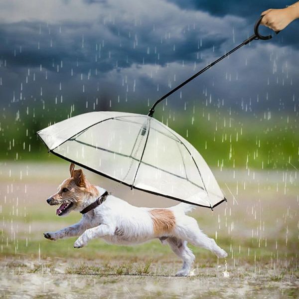 Acessórios para animais de estimação para cães Acessórios para animais de estimação Transparente Ajuste Cerped Guardella para caminhar na Ferramenta de viagem de chuva ou cão de neve em dias de chuva