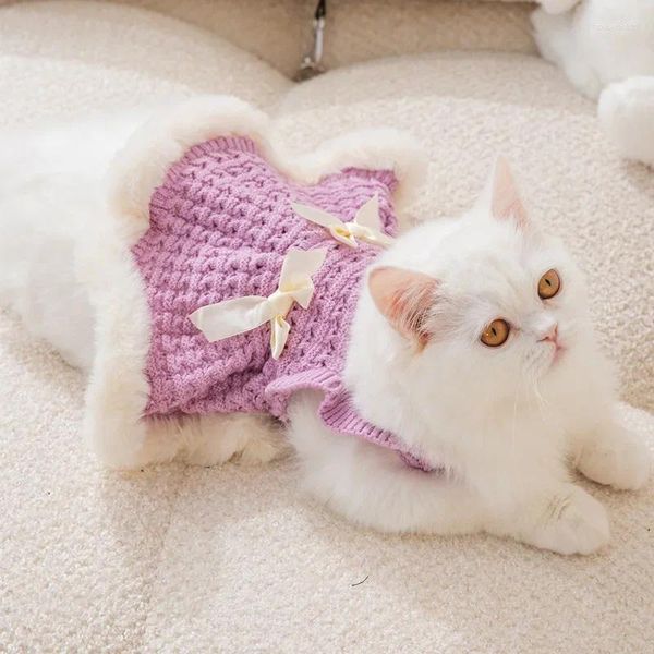 Costumi di gatto 2024 piccoli peli a filo vento profumato brima maglione scavato abito da cane autunno autunno abbigliamento per animali domestici caldi