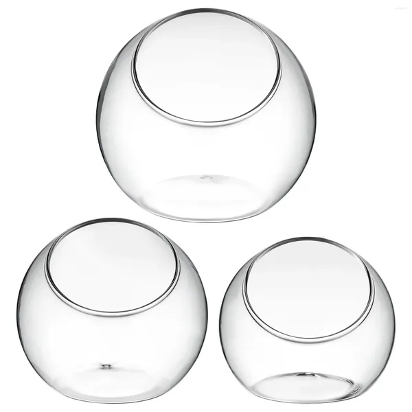 Vasos 3 pcs plantadores de vidro vaso terrário jarte pequeno jarra grande recipiente suculento tigelas