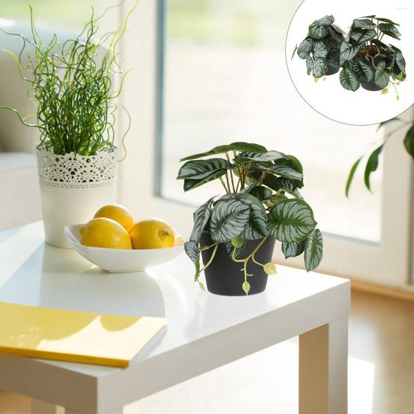 Flores decorativas 2 PCs Mini plantas suculentas decorações de mesa de escritório em vasos artificiais Estimulação de árvores de frutas Porta frontal verde simulada