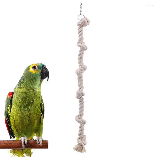 Другая птица снабжает домашнее попугай ватный веревочный узел, поднимающийся на подвесной клетку декор, качание
