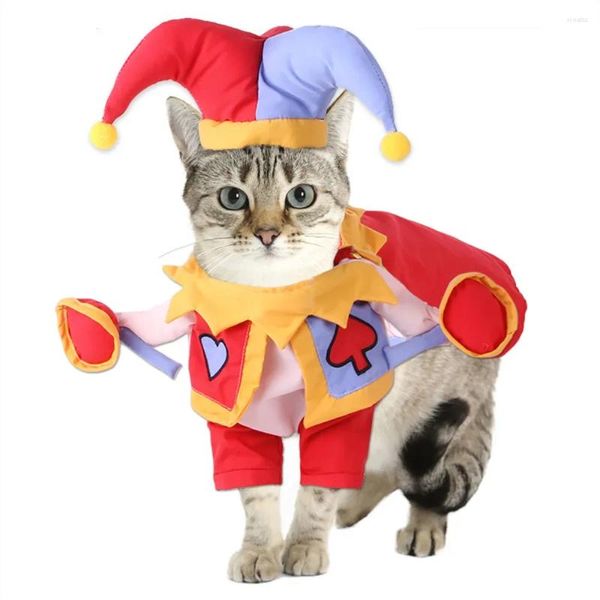 Trajes de gato Transformation Transformation Magician Standing Cartoon Dog Out Funny Rousy Halloween