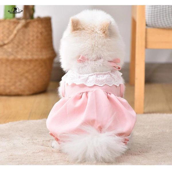 Vestido de vestuário para cães, vestido de abóbora de sorvete fofo roupas de gato de verão para cães pequenos
