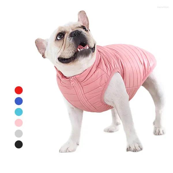 Abbigliamento per cani giubbotto giubbotto inverno cucciolo caldo abiti impermeabili per piccoli cani per cammini per animali domestici Outfit costume