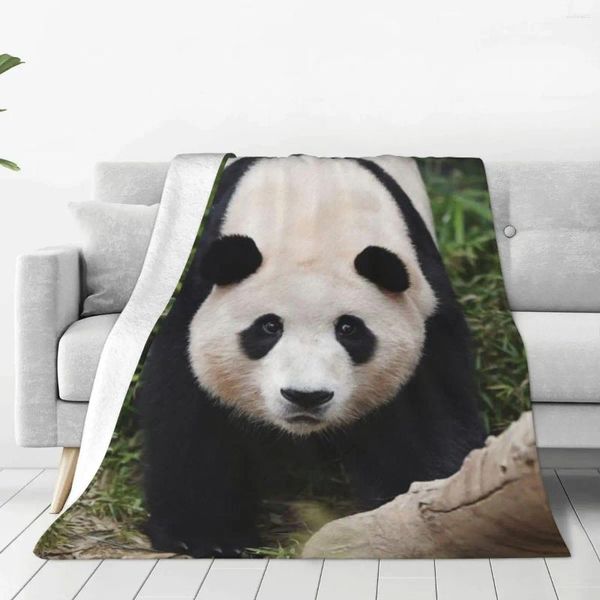 Decken Fubao Panda Fu Bao Tierdecke Super warme dekorative Bettwurf für Easy Care Machine Travel Camping