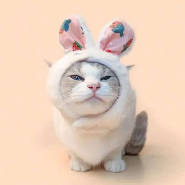 Köpek giyim sıcak evcil hayvan şapkası peluş kedi eğlence cadılar bayramı kostüm aksesuar küçük köpekler kediler tatlı parti başlıkları