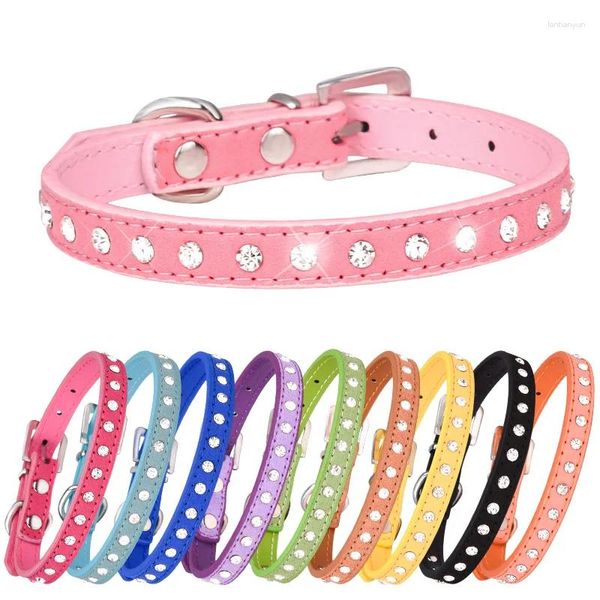 Collari per cani Accessori per animali domestici Durati resistenti al guinzaglio di strass per gatto di strass per gatto.