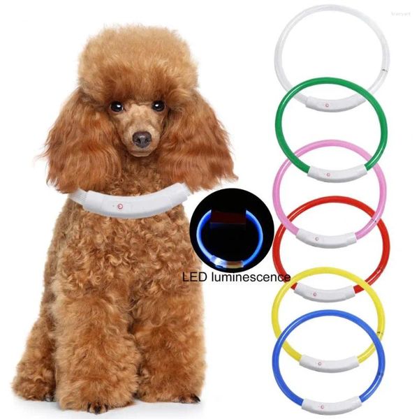 Collari per cani Cute Glowing Collar USB USB ricaricabile ricaricabile lampeggiante cutabile cucciolo di cucciolo collana di sicurezza notturna Accessori per gatti