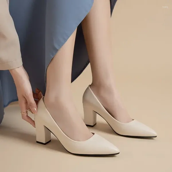 Kleiderschuhe High Heels Frauen koreanischer Stil spitzer flacher Mund dicker Absatz Fashion Sapatos de Mujer Luxus Weiß