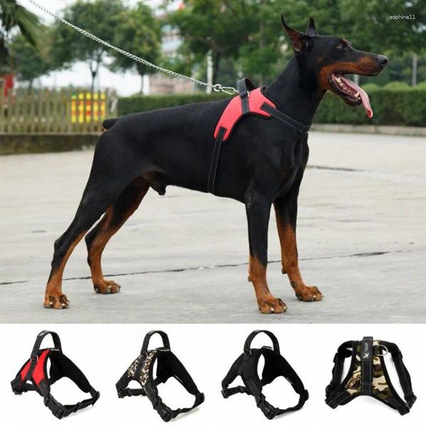 Collari per cani animali domestici Durevoli imbracature a prova di esplosione per la corda di sicurezza del torace ad addestramento per camminata all'aperto