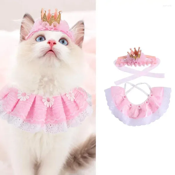 Vestuário para cachorro fantasia de aniversário de animais de cabeça chapéu bainha de veludo atraente Crown Saliva Bib Set for Party Cats Acessórios