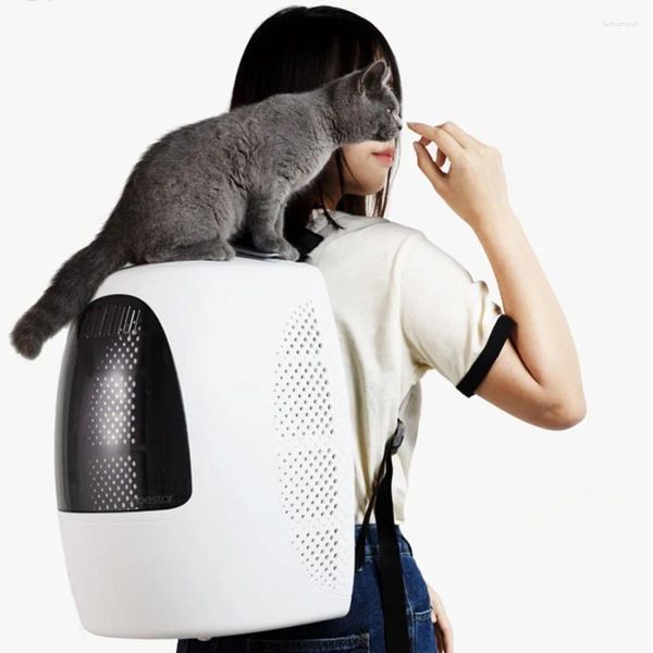 Carriers Cat Carriers Zipper Backpack Travel Ladie portatili Outdoor Outdoor Design di tela grande trasparente Gatos Pet