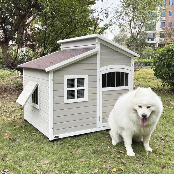 Protezione dell'abbigliamento per cani Golden Retriever Samoyed House Rural Suolo Outdoor Courtyard Villa Room