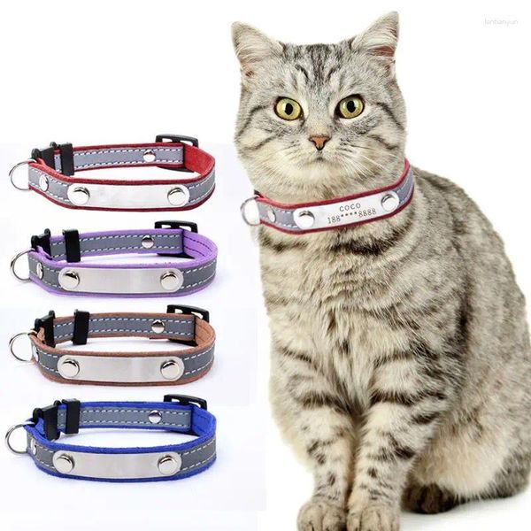 Collari per cani Collar per animali domestici possono essere persi la fibbia di sicurezza gatto morbido e comodo catena