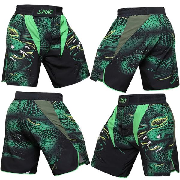 Cody Men MMA Shorts No GI BJJ Grappling Kickboxing personalizzato Muay Thai Training Short Short Sublimation Green Male Sublimation 240325