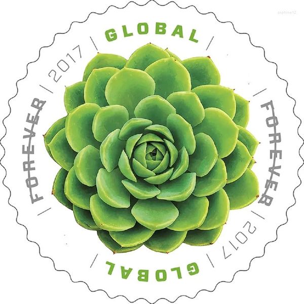 Stampo per succulenti avvolgenti per regalo 2024