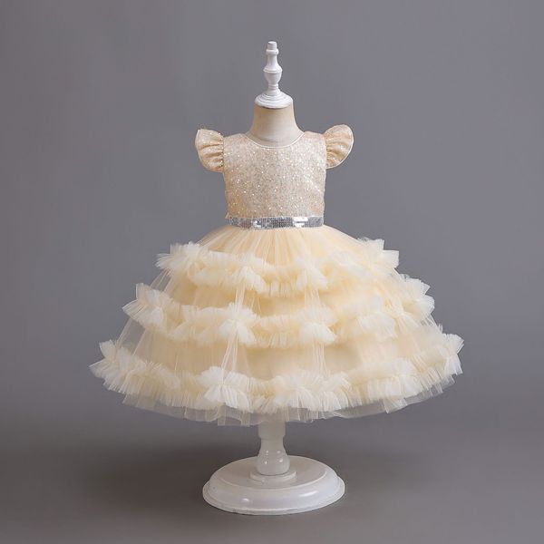 Wunderschöne Blumenmädchenkleider für Hochzeit Spitzenapplikation Kleinkind Girl Festzugskleider Prinzessin Geburtstagsfeier Baby Taufe Kleid für Mädchen Weihnachten Säuglinge Vestidos