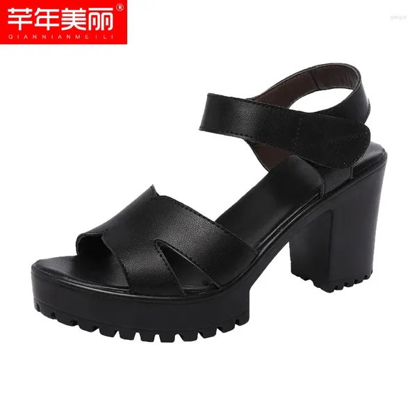 Elbise ayakkabıları kadınlar güzel yüksek topuk sandalet tıknaz platform su geçirmez Cheongsam podyum 2024 yaz moda tarzı