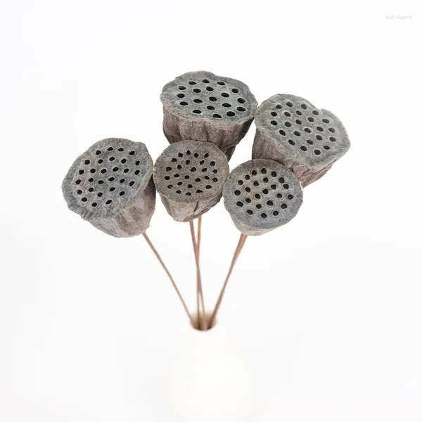 Vasen 3-4cm Head/5pcs 35-40 cm natürlicher getrockneter Lotus-Samenpod mit künstlichem Drahtpol kleiner Samenschotenblütenstrauß für Wohnkultur