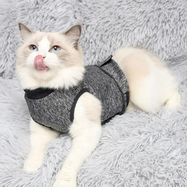 Trajes de gato colete de primavera gatinho sólido abraçando roupas de conforto de moda gatinha home weart utim roupas macias de jaqueta macia