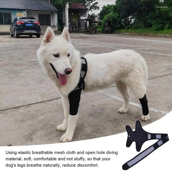 Hundekleidung Beingurt Haustier Knieschalter für Gelenkverletzungen Erholung Beine Beschützer Oberschenkelschlepper Wickelverstellbare Stützgürtel Hunde