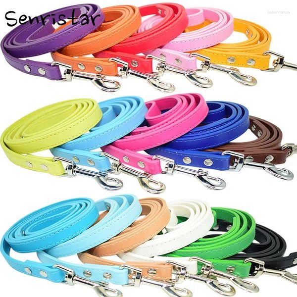 Collari per cani piccoli guinzaglio in PVC Waterproof Lead Rope Cuppy Neck Droppyship Hih Tzu Pomeranian Chihuahua Accessori